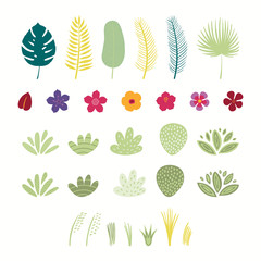 Set of tropical plants elements flowers, palm leaves, grasses, bushes, shrubs. Isolated objects on white background. Hand drawn vector illustration. Flat style design. Concept for children print.