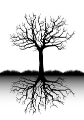 Tree silhouette background