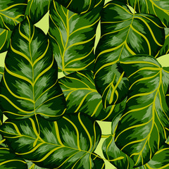 Fototapeta na wymiar Tropical background with banana leaves. A seamless pattern with tropical leaves.