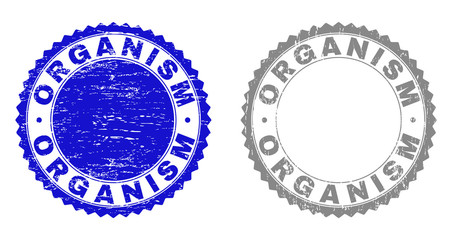 Grunge ORGANISM stamp seals isolated on a white background. Rosette seals with grunge texture in blue and grey colors. Vector rubber stamp imitation of ORGANISM text inside round rosette.