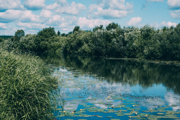 grassy river and blue sky