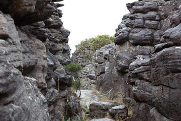 Felsenhang
