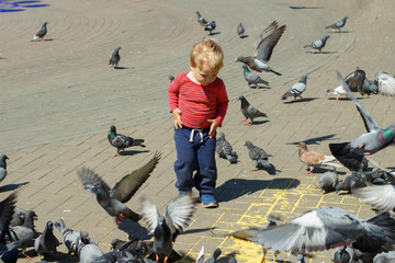 A Baby boy Surrounded by Doves on the piazza