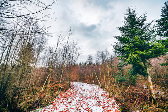 Road with red bricks covered with snow