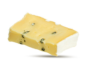 White mould cheese isolated on white background with clipping path