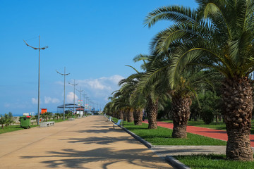 Beach promenade in Batumi, Georgia.