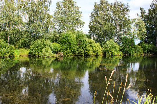 Lake image. Forest Lake. Summer landscape. The lake is surrounded by trees.
