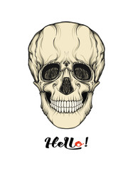 skulls slogan