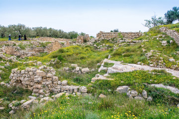 Fototapeta na wymiar Herod the Great Palace in Sebastia, Samaria