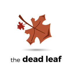  Vector dead leaves, autumn logo
