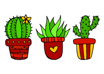 Drawn Cactus Collection Set Cute Floral Mexican