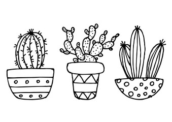 Drawn Cactus Collection Set Cute Floral Mexican