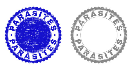 Grunge PARASITES stamp seals isolated on a white background. Rosette seals with grunge texture in blue and grey colors. Vector rubber watermark of PARASITES title inside round rosette.