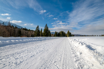 Fototapeta na wymiar droga w śniegu