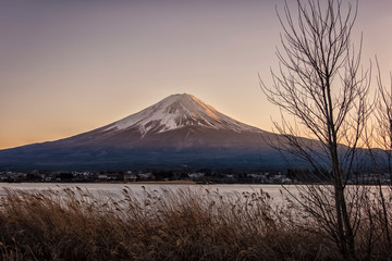 Mount Fuji viewed from Kawaguchi lake at sunset, Japan	