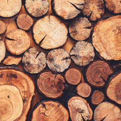 Wooden natural sawn logs closeup for background or abstraction, top view, fashion flat lay photo