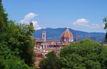Fototapeta na wymiar View of Florence from Bardini garden, Italy