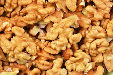 Walnut (Juglans regia) kernel