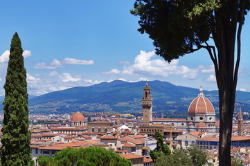 Fototapeta na wymiar View of Florence from Bardini garden, Italy