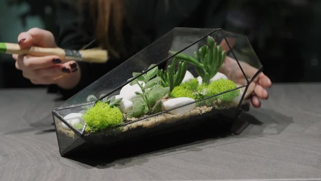 Woman professional florist takes care for mini garden in modern florarium.