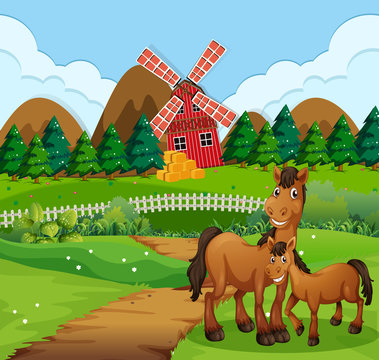 Horse at the farm landscape