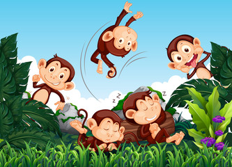 Obraz na płótnie Canvas Monkey in the wild