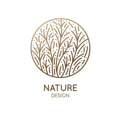 Tropical decorative plant