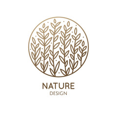 Tropical decorative plant