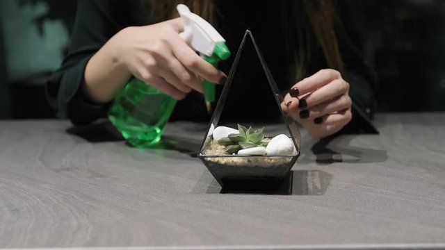 Woman professional florist takes care for mini garden in modern florarium.