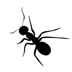 silhouette ant, insect, crawling, isolated, vector