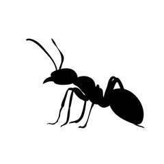 isolated, ant silhouette black