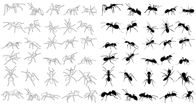 Ant Crawling Silhouette, Set, Collection