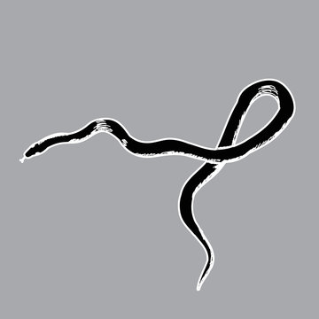 snake silhouette icon isolated on white background, vector