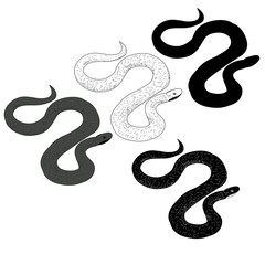 vector, isolated, snake, silhouette and sketch