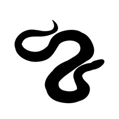 Obraz premium isolated, snake silhouette