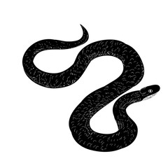  isolated, snake silhouette