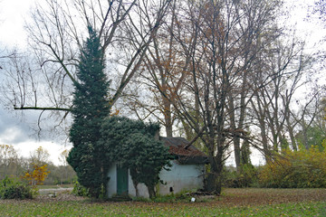 Obraz premium vergessene Hütte