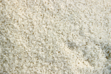 White rice grain (basmati rice) for background