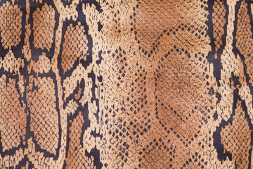 Snake skin background, close up, beige and brown texture