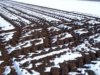 残雪の冬の畑風景