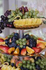 Wedding buffet table with different variety of fresh fruits