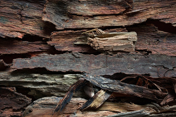 Driftwood bark solid background.