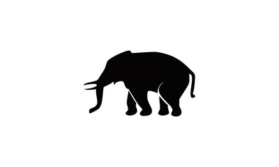 silhouette of elephant