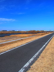 早春の江戸川土手風景