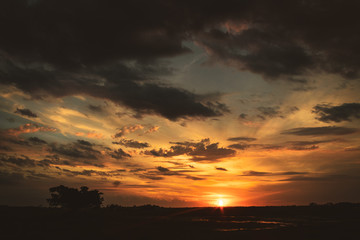 Fototapeta premium sunset over field