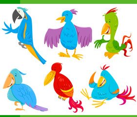 colorful birds cartoon characters set