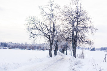 alley path in wintertime