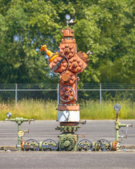 Fototapety na wymiar - Fototapeta24.pl