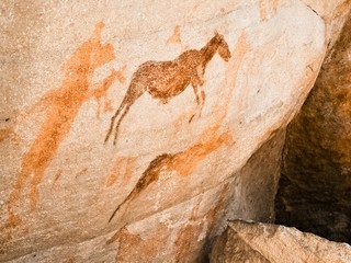 Pferde, uralte Felsenmalerei in den Zedernbergen von Südafrika
