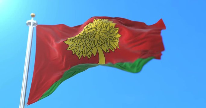 Flag of the russian federal subject of Lipetsk Oblast, Russia. Loop